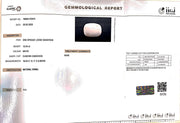 12.04/CT White Coral With Govt. Lab Certified (1500)